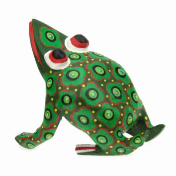 Frog EV-RMP500